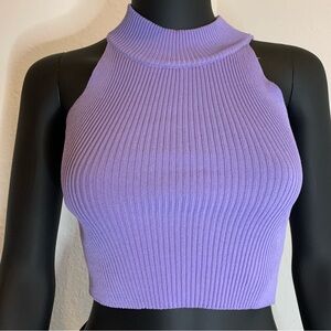 EUC Lilac Crop Top
